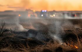 В Ростове-на-Дону пожарные потушили траву в Лев...